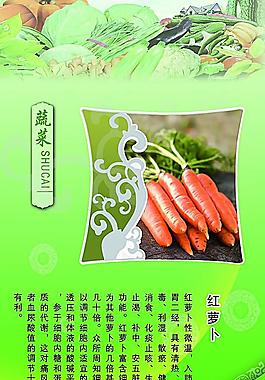 蔬菜红萝卜广告模板展板图片