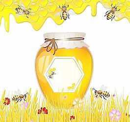 蜜蜂采蜜 蜂蜜图片