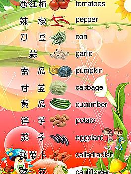 瓜果蔬菜图片