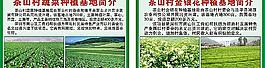 茶山村金银花 蔬菜种植基地图片
