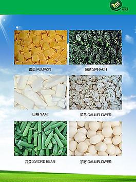 企业 宣传册图片