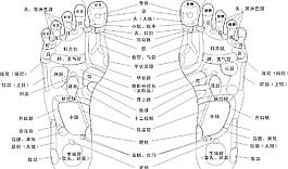 脚部穴位图图片