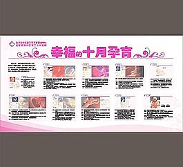 孕育生命图片