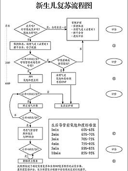 新生儿复苏流程图图片