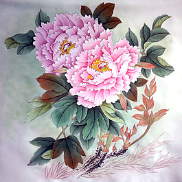 植物 花卉 花卉 免费素材