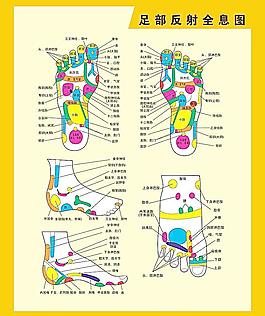 足部反射區掛圖圖片足部穴位圖片足部反射區圖片人體骨骼足部矢量圖
