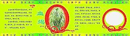 中药材瓶贴图片