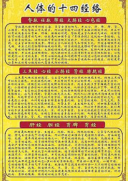 人体的十四经络图片