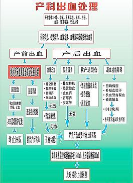 产科出血处理流程图图片