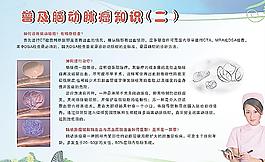 脑血管小知识图片