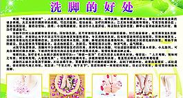 洗脚的好处图片