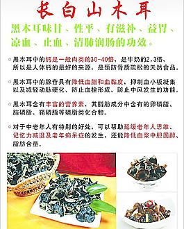 长白山木耳图片