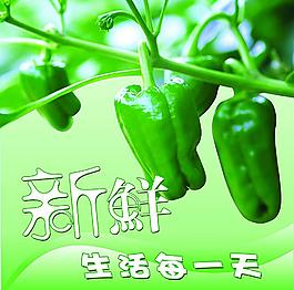 蔬菜图片