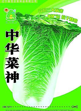 蔬菜海报设计图片