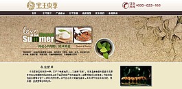 专卖店企业网站模板