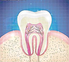 牙齿牙医牙科口腔图片