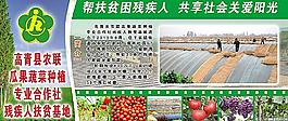 残疾人扶贫基地图片