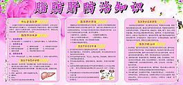 脂肪肝防治知识图片