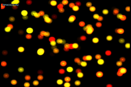 梦幻光斑高清视频素材