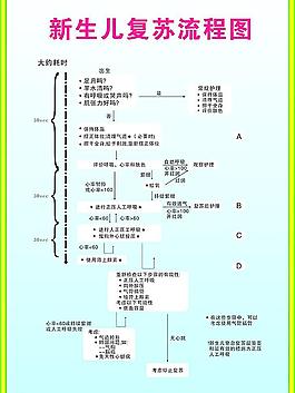 新生儿复苏图片