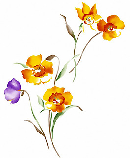 位图 时尚休闲女装 成熟优雅女装 植物 优雅植物 免费素材