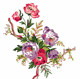 位图 时尚休闲女装 成熟优雅女装 植物 优雅植物 免费素材