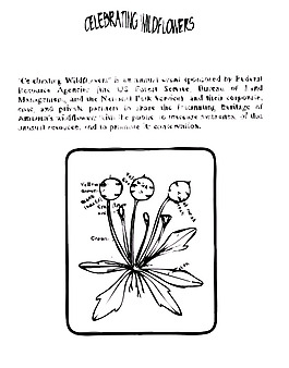scalepod着色指南