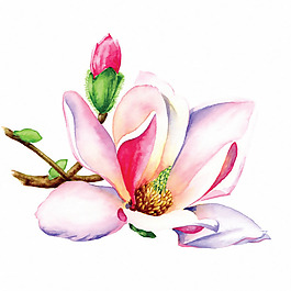 位图 时尚休闲女装 成熟优雅女装 植物 优雅植物 免费素材