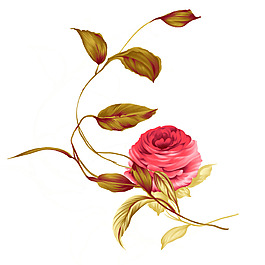 位图 时尚休闲女装 成熟优雅女装 植物 优雅植物 免费素材