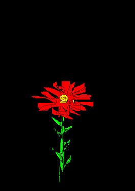 红色的花