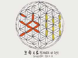 原aiflowers 229