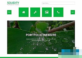 绿色大气个人摄影相册网站模板