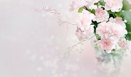 母亲节温馨康乃馨PPT背景