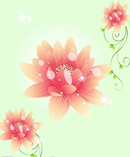 位图 时尚休闲女装 成熟优雅女装 植物 优雅植物 免费素材