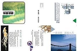 宣传折页