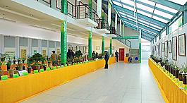 兰展图片