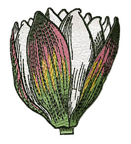 绣花 色彩 传统图案 荷花 灰色 免费素材