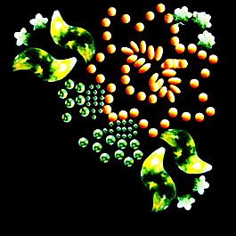 烫钻 花卉 毛衣烫钻 色彩 黑色 免费素材