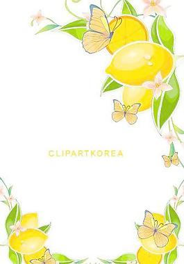 韩国矢量花边394