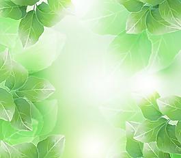 绿色植物矢量素材图片下载