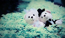 小熊背景PPT模板