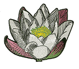 绣花 色彩 传统图案 荷花 灰色 免费素材