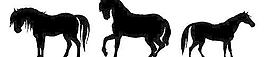 骏马剪影矢量
