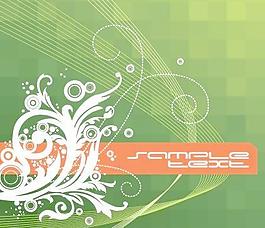 矢量花纹装饰的5