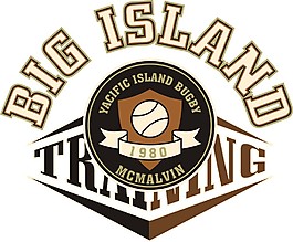 印花矢量图 文字 英文 色彩 米黄色 免费素材