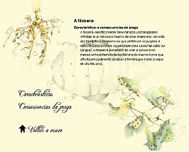 位图 虫子 英文 米黄色 黑色 免费素材