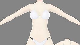 纹胸2种 内衣03（3种颜色） Tech48