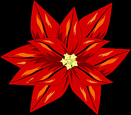 弗洛尔Roja