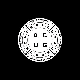 遗传编码RNA BW