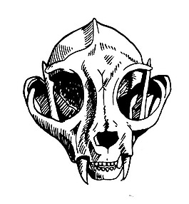 印花矢量图 骷髅头 黑白色 朋克风格 免费素材